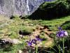 Gavarnie