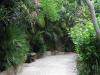 Jardin exotique - &copy; Marie-Jose Launay