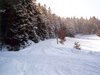 Chemin p�destre en hiver - La Chaise-Dieu