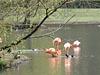Parc Zoologique - &copy; LEBOURDAIS Jean-Christophe