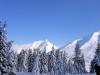 Paysage en hiver - &copy; Vincent Hugo