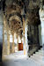 Les Ar&egrave;nes de N&icirc;mes