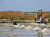 Les Marais Salants