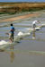 Les Marais Salants