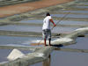 Les Marais Salants