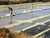 Les Marais Salants