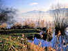 Lac d'Annecy