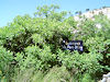 Calanque de Port-Miou - &copy; J&eacute;r&ocirc;me Hugo