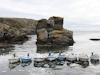 Port Saint-Nicolas - &copy; Jean-Louis Desouche