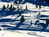Pistes de ski de fond - Les Saisies