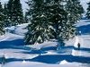 Pistes de ski de fond - Les Saisies - &copy; B. Fleuret - Agence FOC