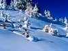 Descente dans la poudreuse - Les Saisies - &copy; Durand - Agence FOC