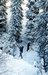 Parcours aventure - Les Saisies - &copy; Sports Loisirs des Montagnes