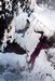 Parcours aventure - Les Saisies - &copy; Sports Loisirs des Montagnes