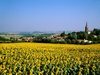 Segreville - Haute-Garonne