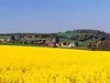 Chasnay - Bourgogne