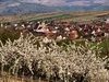 Jussy - Bourgogne