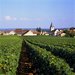 Saint-Vivant - Bourgogne
