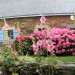 Bed & Breakfast Au Vieux Moulin