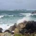 la c&ocirc;te sauvage