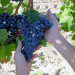 Bed & Breakfast La Halte de Segondignac