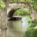 Le pont de pierre de Colombiers