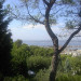 Vue du jardin