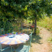 le jardin