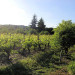  Le Clos des B&eacute;rengeries