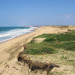 en longeant la rivi&egrave;re, puis par la for&ecirc;t et la dune vous arrivez &agrave; cette plage tranquille et sauvage, les plages surveill&eacute;es ne sont pas loin