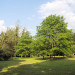 le parc