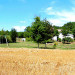 Chambres d'hotes Les 3 Vignobles