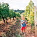 Chambres d'hotes Les 3 Vignobles