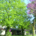 Chambre d'h&ocirc;tes de Pr&eacute;-Poussou Saint-Hilaire de Lusignan