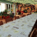 Terrasse Mas du Tech