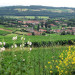 Vue du village