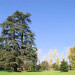  Domaine de Lalande