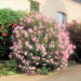Chambres d'hotes Le Clos d'Albi