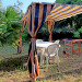  Campagne La Farandole