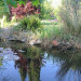 L'eau bleue
