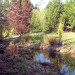 One Corner of the Garden