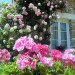 Bed & Breakfast La Pocterie