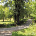 promenade pr&egrave;s du chalet