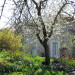 Bed & Breakfast Coubras