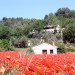 Gite Gites Bastide du Rousset