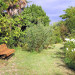 Vue sur le parc