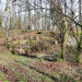 ruines d'un ancien moulin
