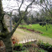 Le jardin