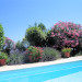 la piscine entour&eacute;e de fleurs