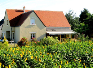 Gite Gite La Gâtinière Gite Gite La Gâtinière